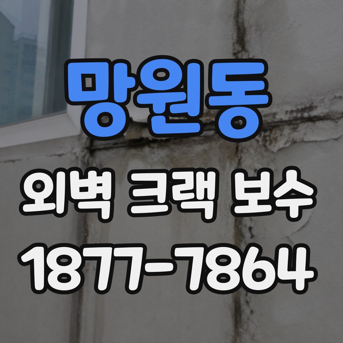 망원동 외벽 크랙 보수