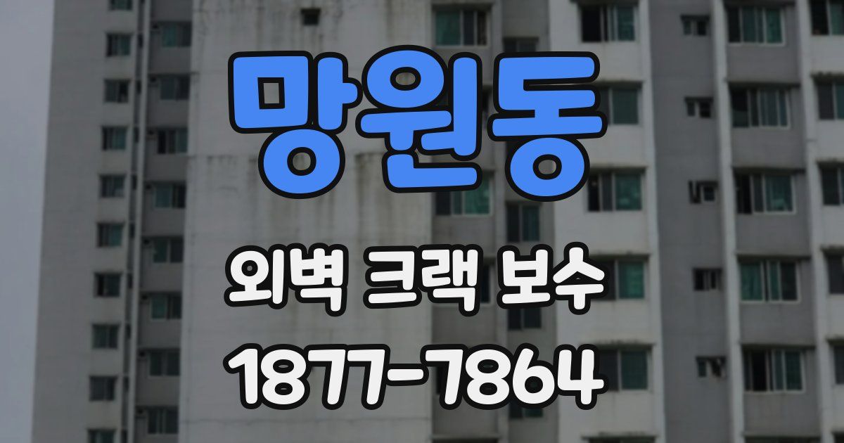 망원동 외벽 크랙 보수