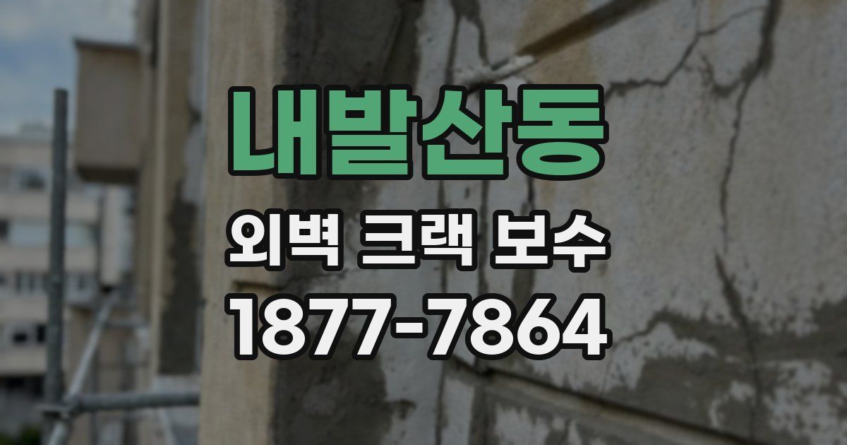 내발산동 외벽 크랙 보수