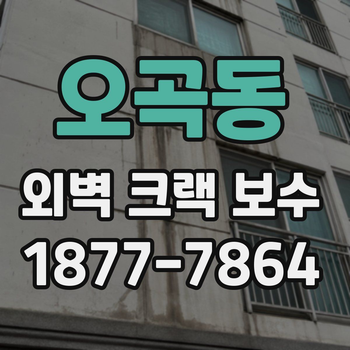 오곡동 외벽 크랙 보수