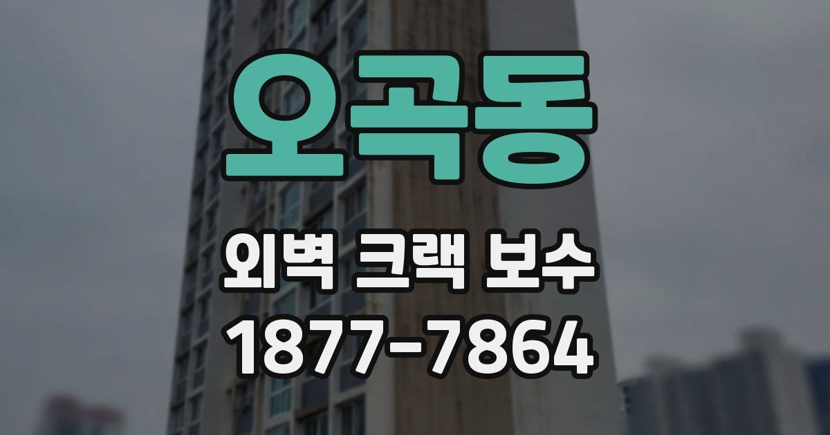 오곡동 외벽 크랙 보수