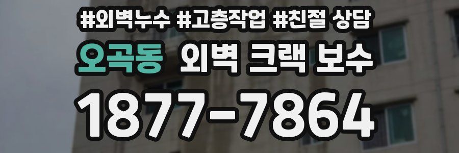 오곡동 외벽 크랙 보수