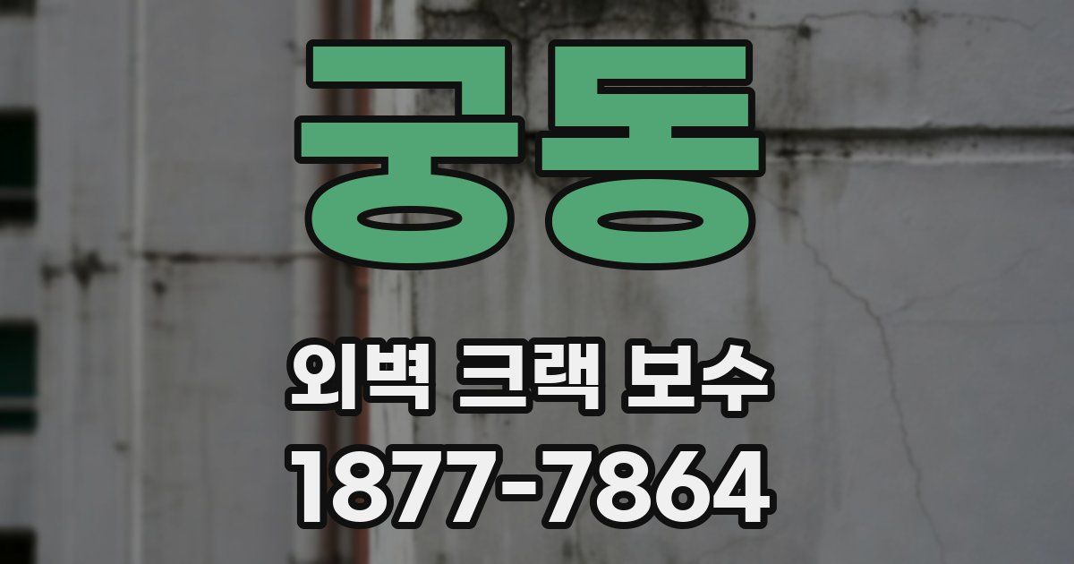 궁동 외벽 크랙 보수