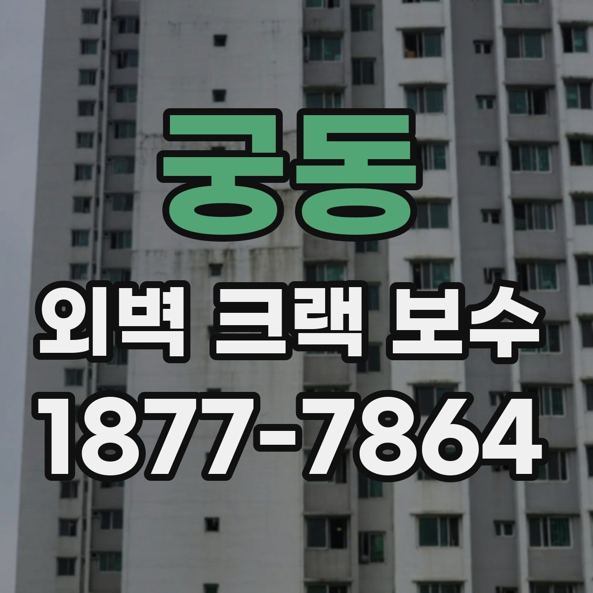 궁동 외벽 크랙 보수