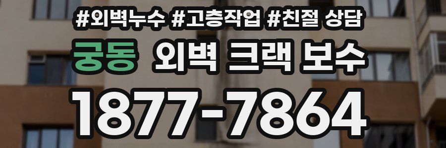 궁동 외벽 크랙 보수