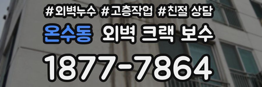 온수동 외벽 크랙 보수