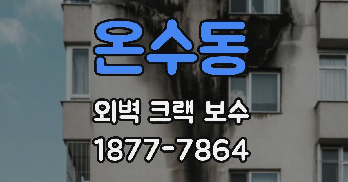 온수동 외벽 크랙 보수