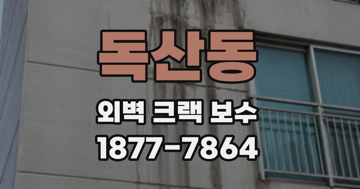 독산동 외벽 크랙 보수