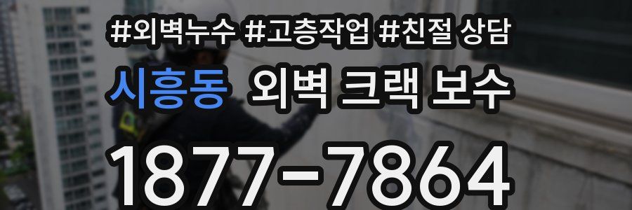 시흥동 외벽 크랙 보수