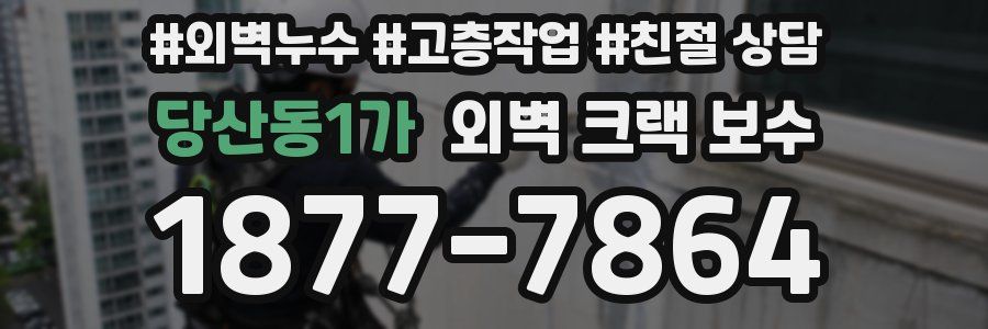 당산동1가 외벽 크랙 보수