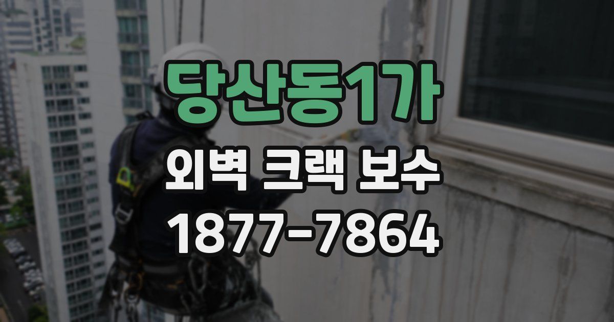 당산동1가 외벽 크랙 보수