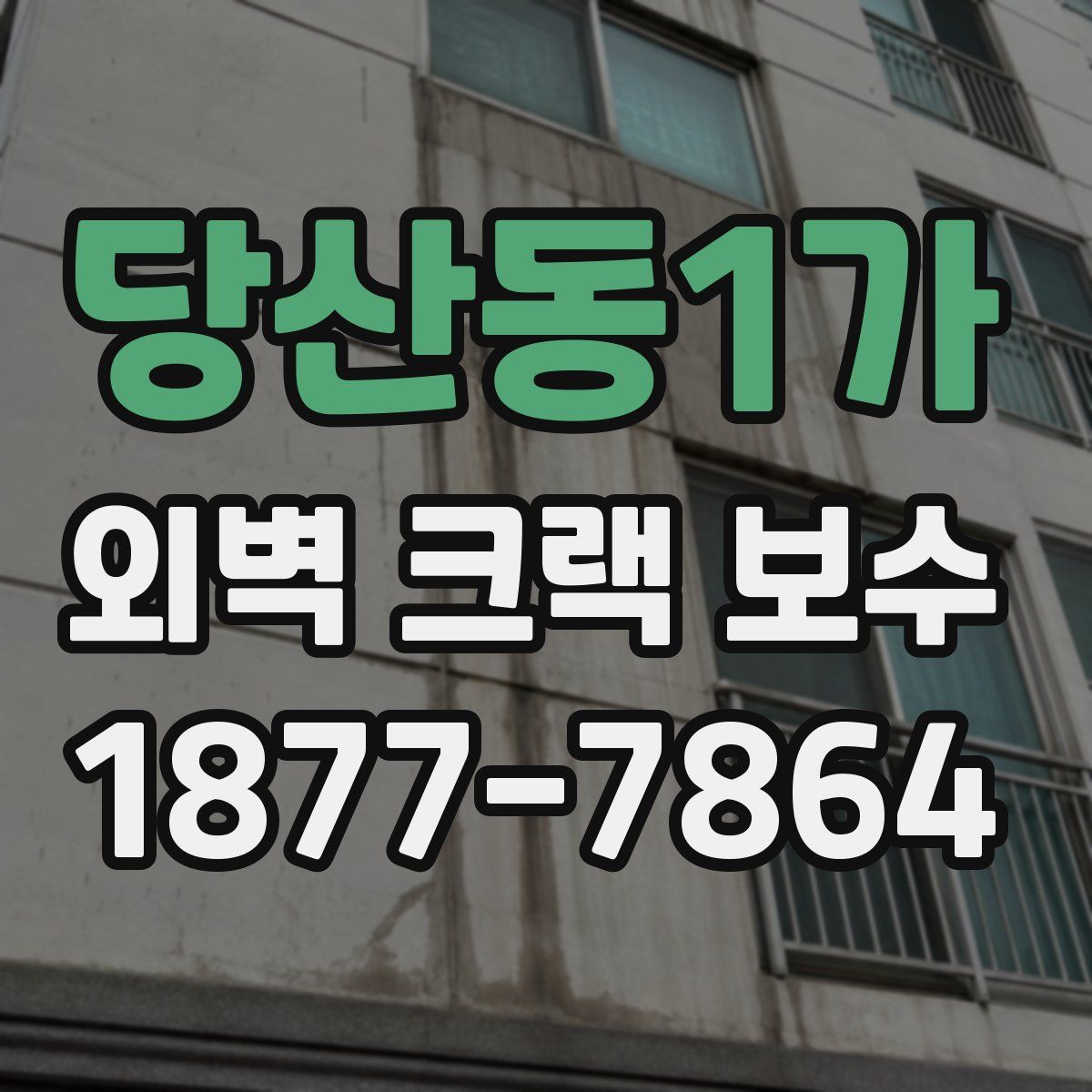 당산동1가 외벽 크랙 보수
