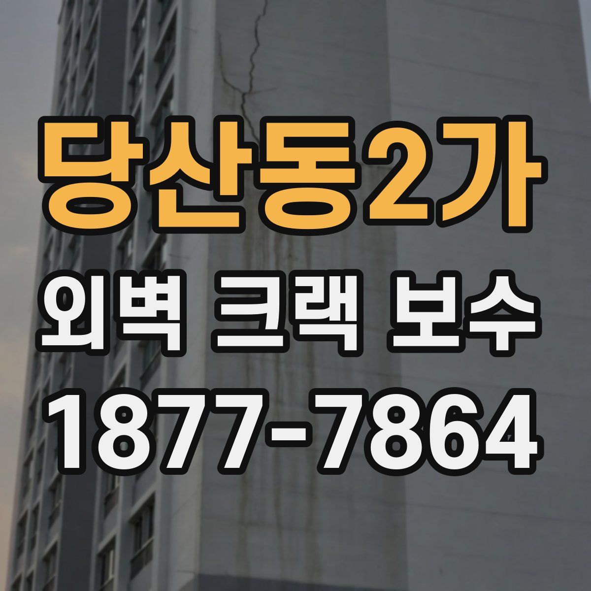 당산동2가 외벽 크랙 보수
