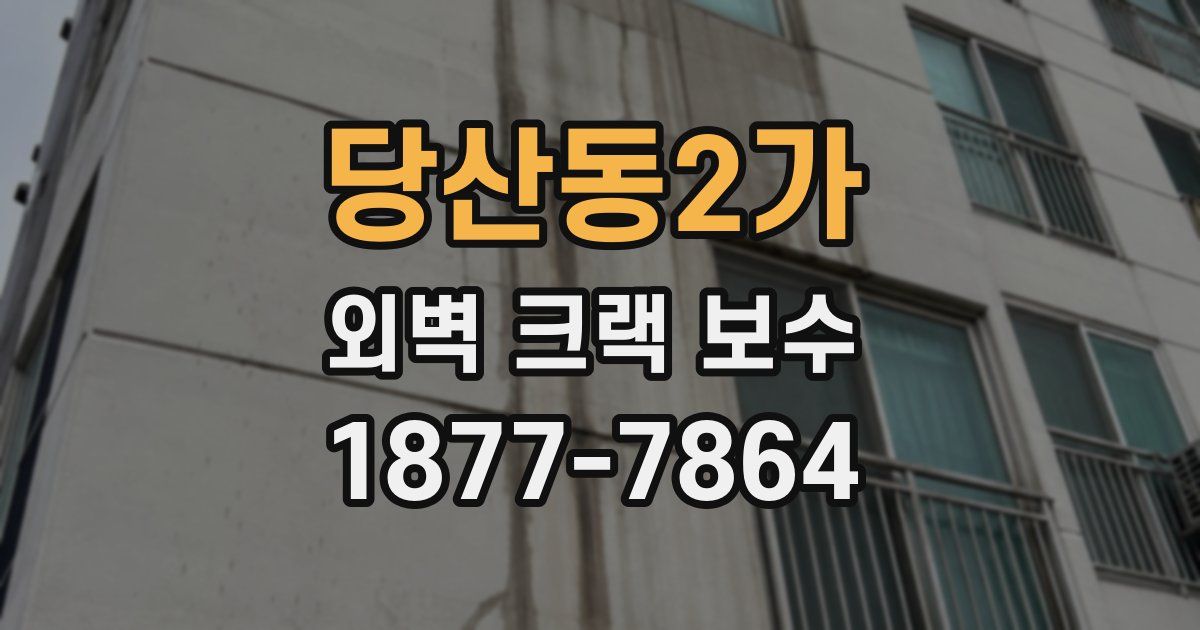 당산동2가 외벽 크랙 보수