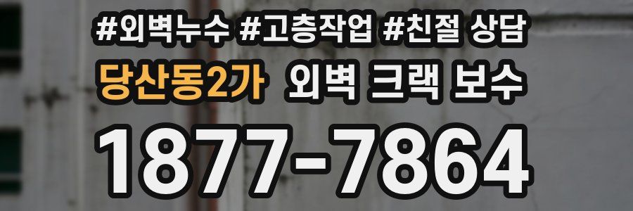 당산동2가 외벽 크랙 보수