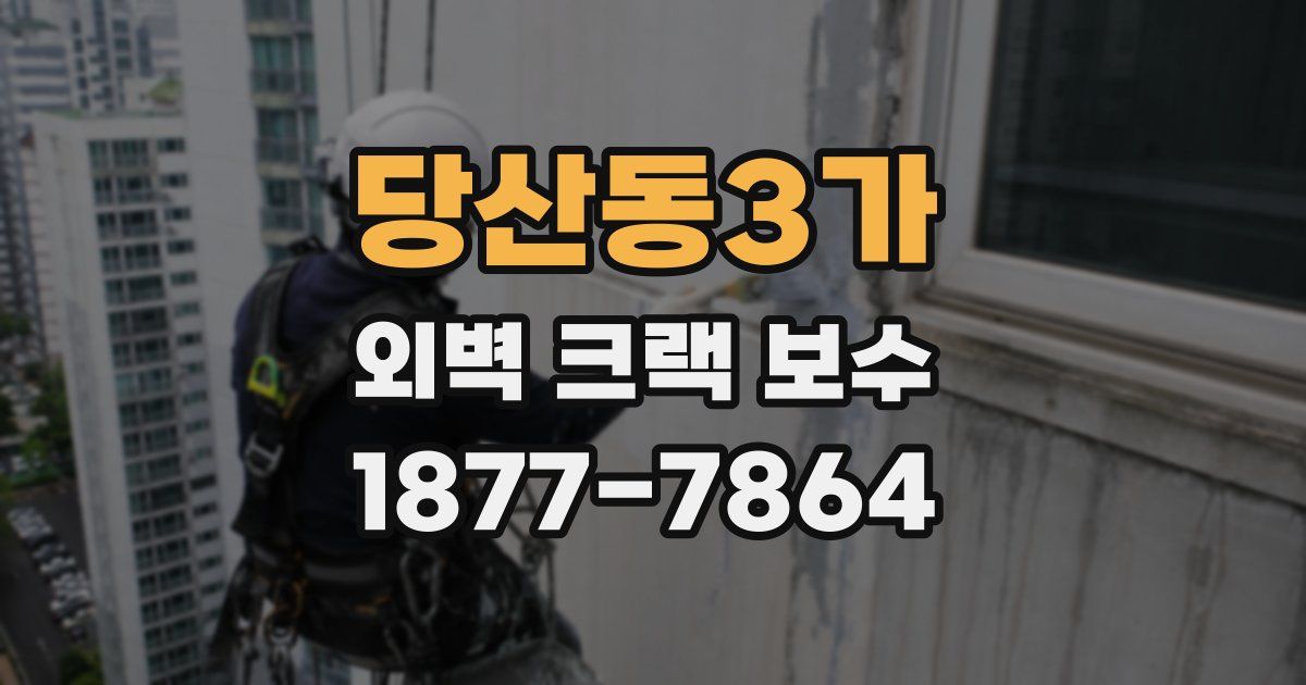당산동3가 외벽 크랙 보수