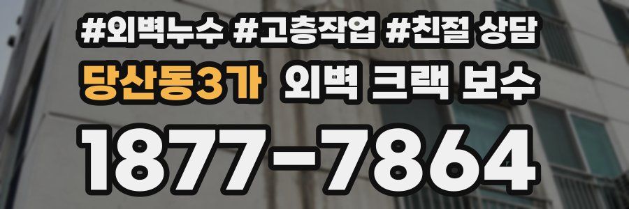 당산동3가 외벽 크랙 보수