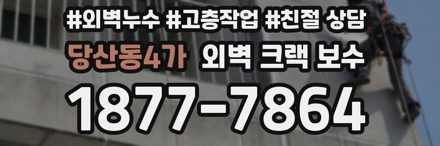 당산동4가 외벽 크랙 보수