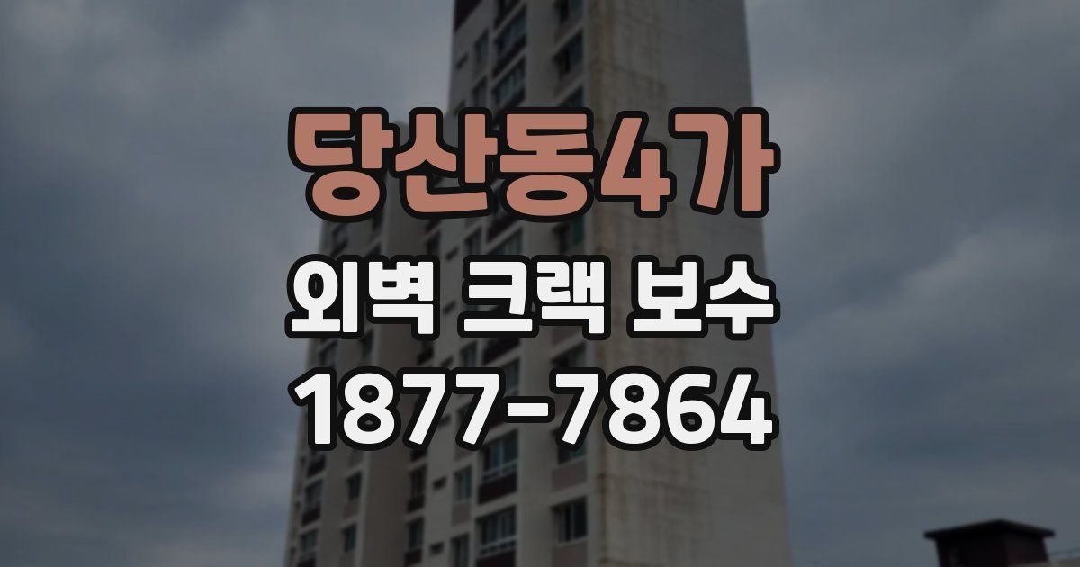 당산동4가 외벽 크랙 보수