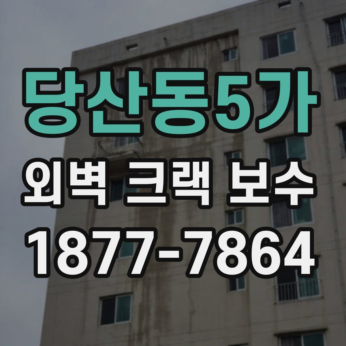 당산동5가 외벽 크랙 보수