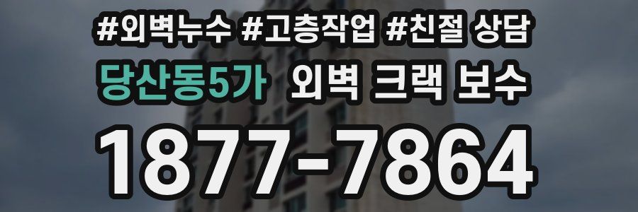당산동5가 외벽 크랙 보수