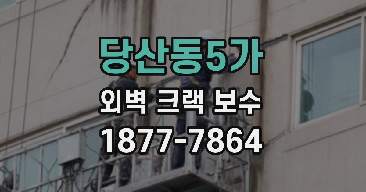 당산동5가 외벽 크랙 보수