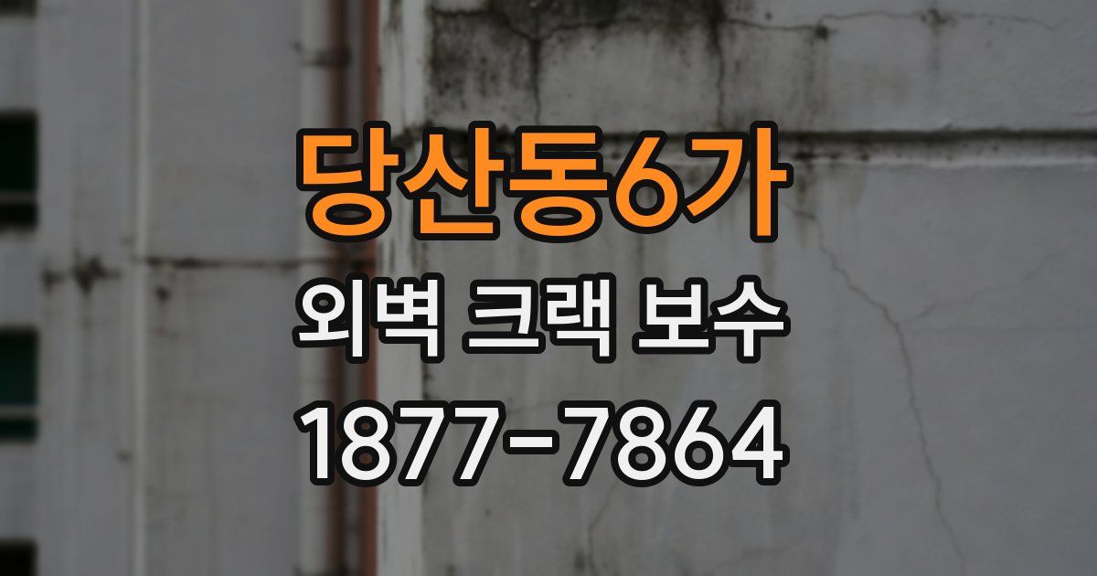 당산동6가 외벽 크랙 보수