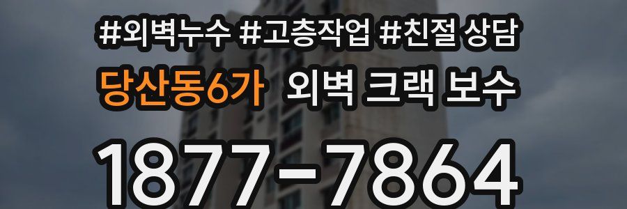 당산동6가 외벽 크랙 보수