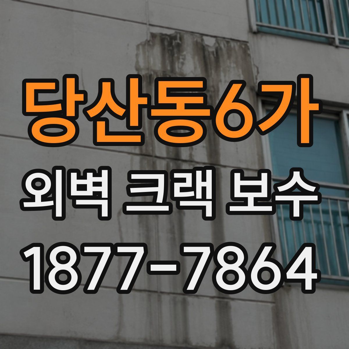 당산동6가 외벽 크랙 보수