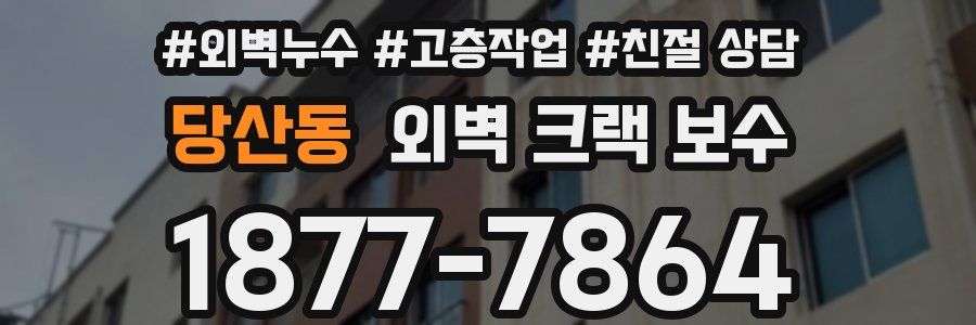 당산동 외벽 크랙 보수