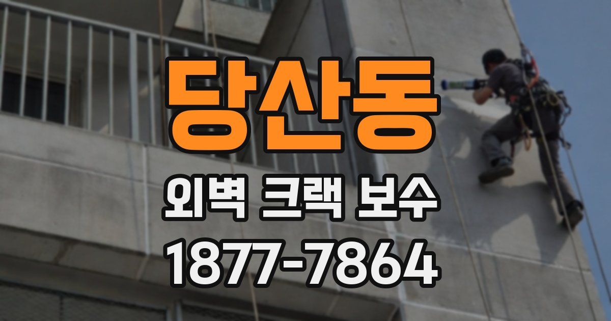 당산동 외벽 크랙 보수