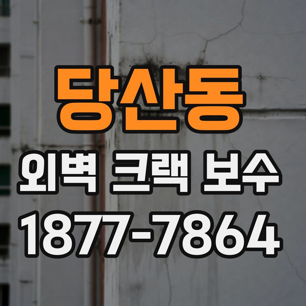 당산동 외벽 크랙 보수