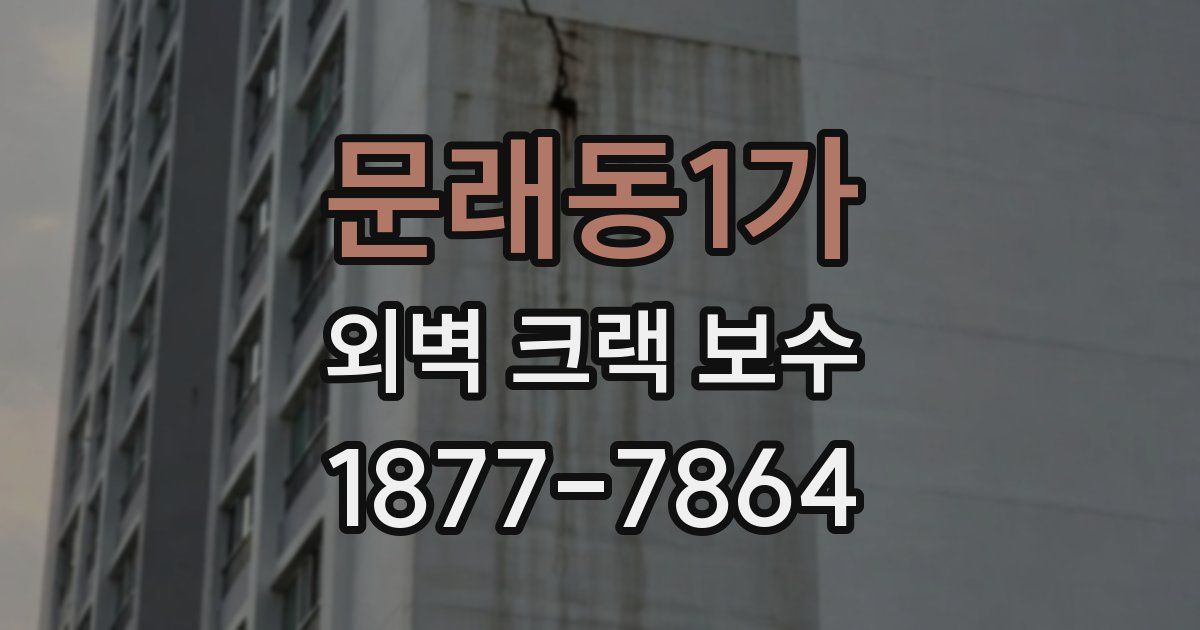 문래동1가 외벽 크랙 보수