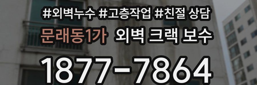 문래동1가 외벽 크랙 보수