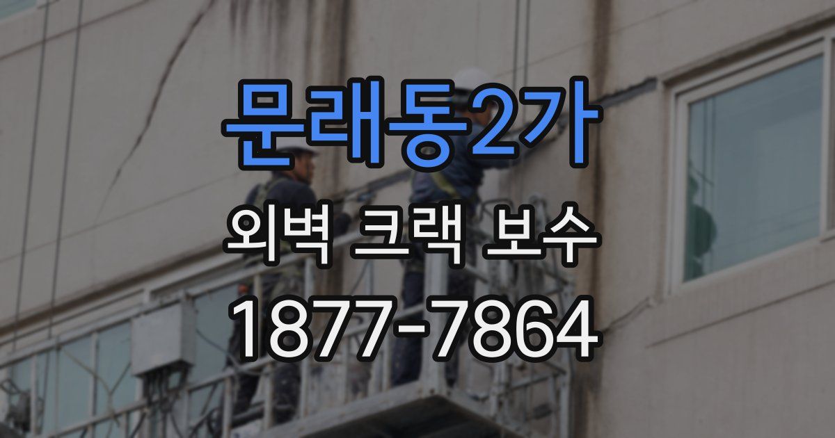 문래동2가 외벽 크랙 보수