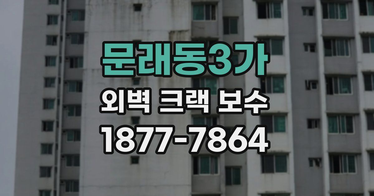 문래동3가 외벽 크랙 보수