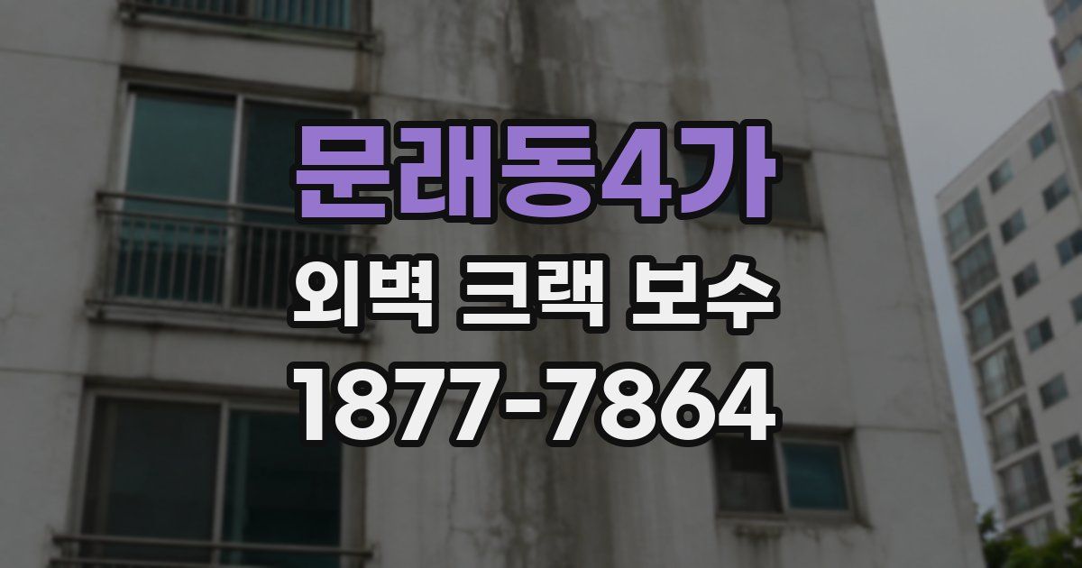 문래동4가 외벽 크랙 보수