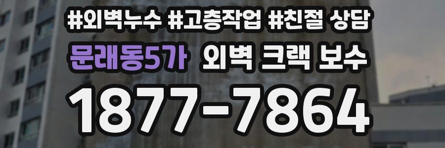 문래동5가 외벽 크랙 보수