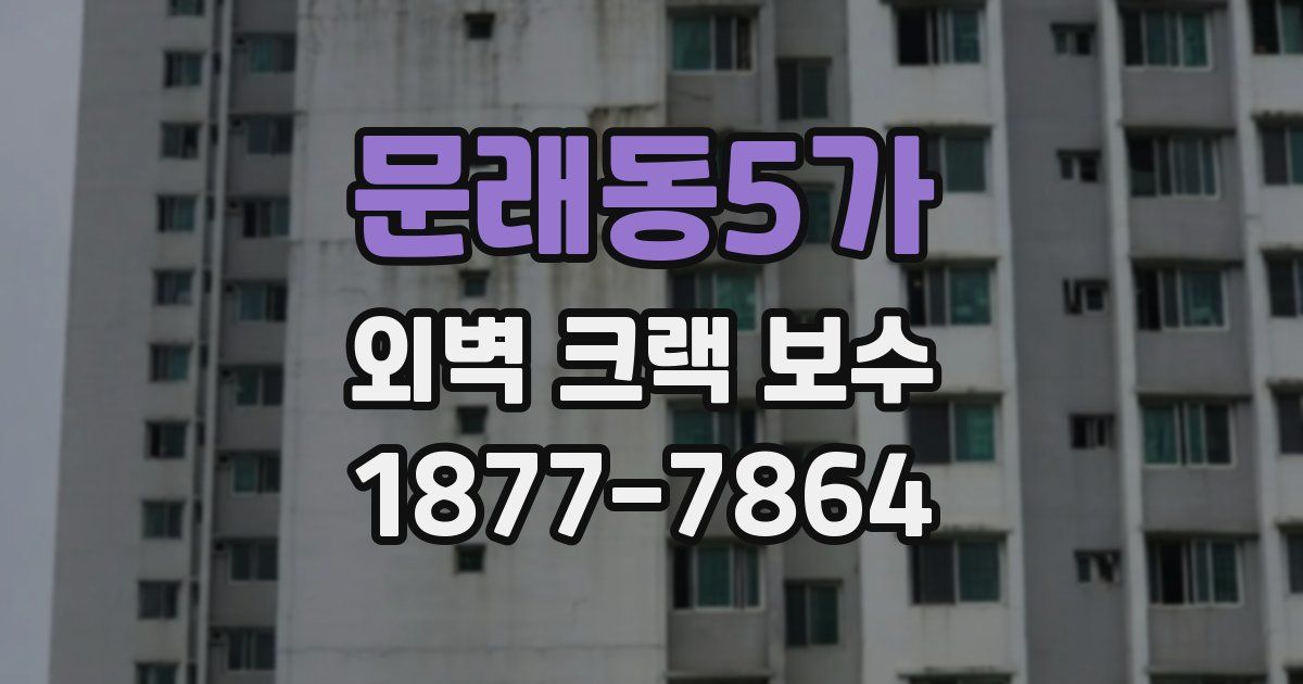 문래동5가 외벽 크랙 보수