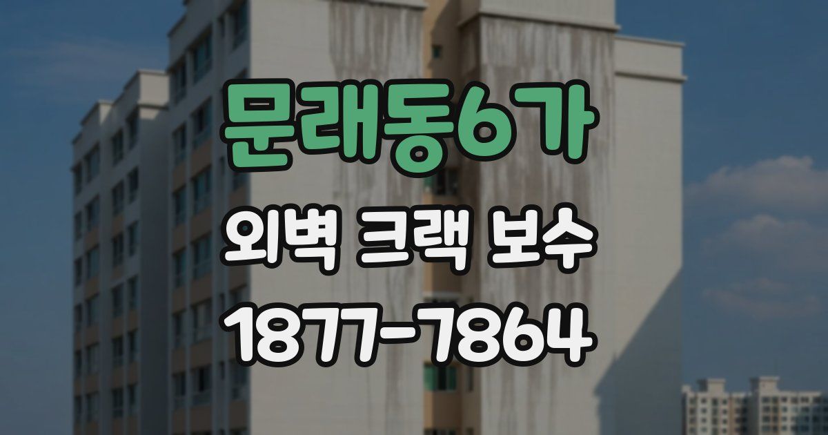 문래동6가 외벽 크랙 보수