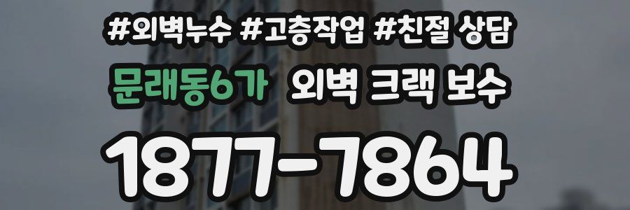 문래동6가 외벽 크랙 보수