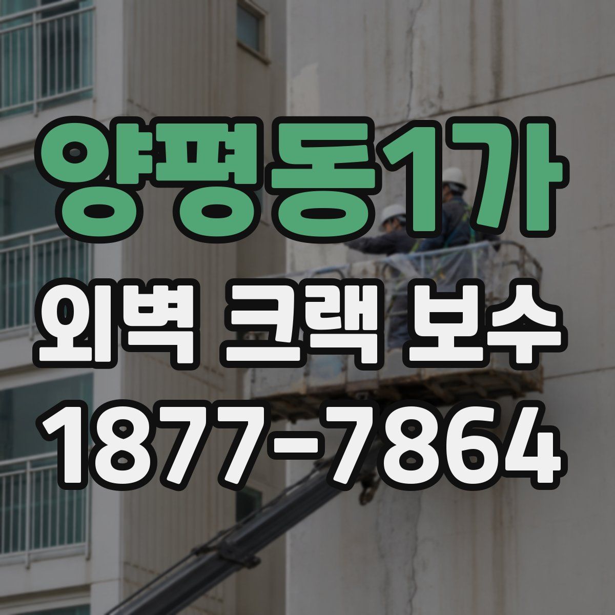 양평동1가 외벽 크랙 보수