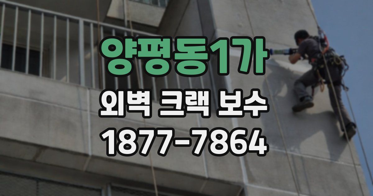 양평동1가 외벽 크랙 보수