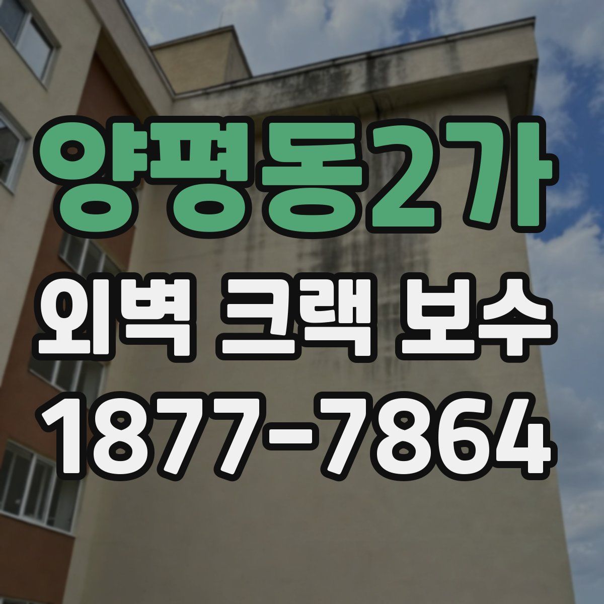 양평동2가 외벽 크랙 보수