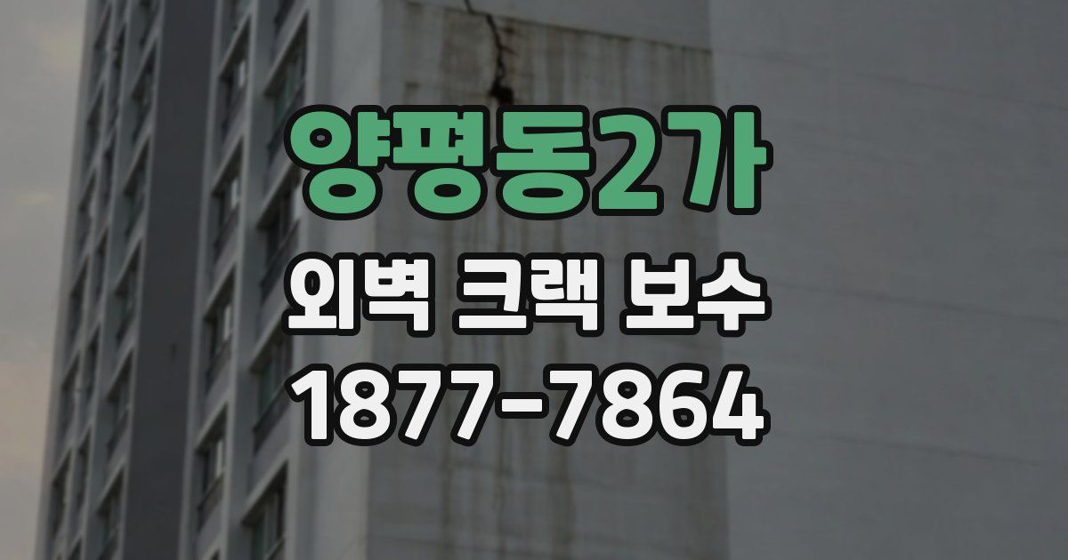 양평동2가 외벽 크랙 보수
