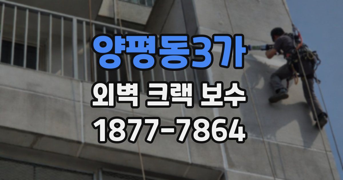 양평동3가 외벽 크랙 보수