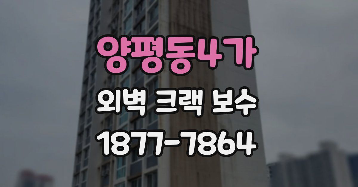 양평동4가 외벽 크랙 보수