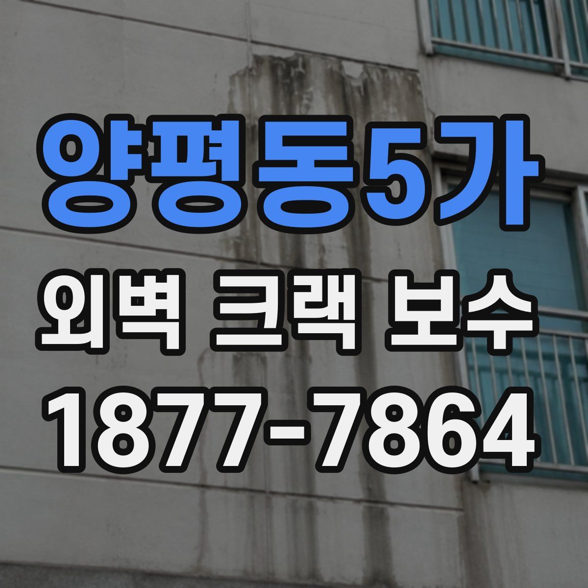 양평동5가 외벽 크랙 보수