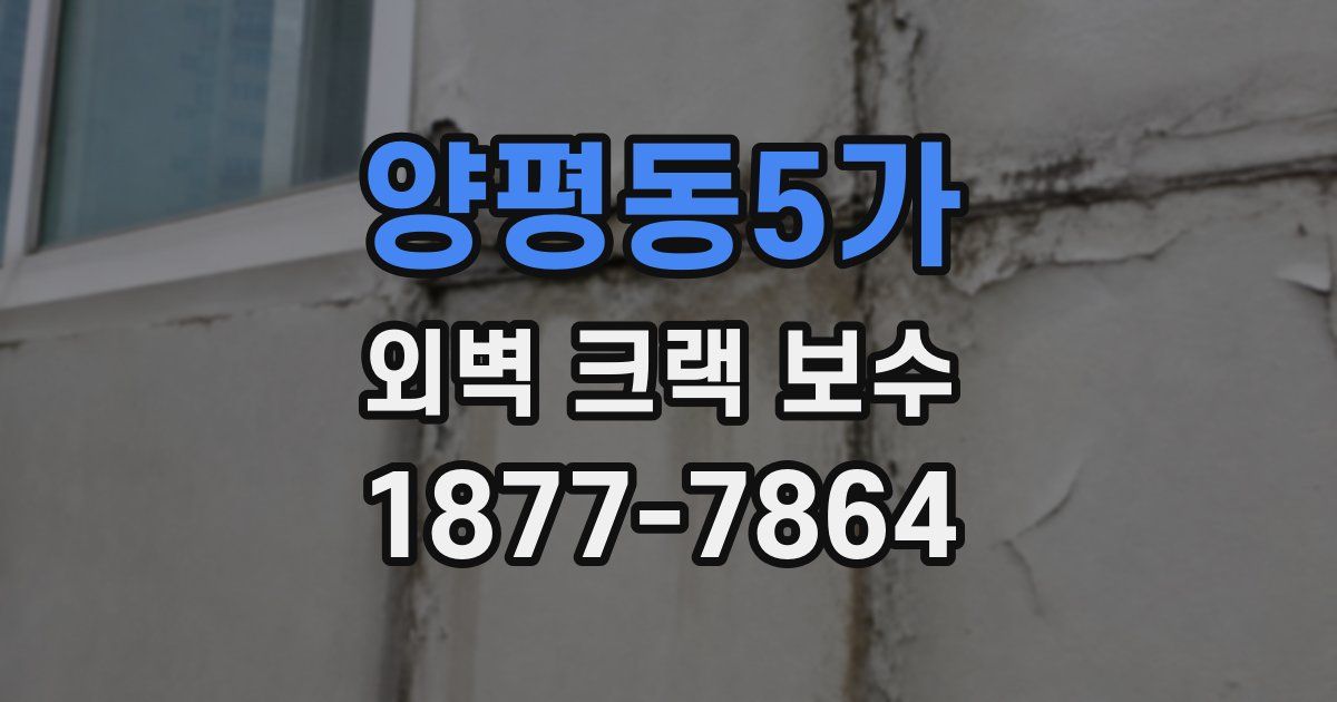 양평동5가 외벽 크랙 보수
