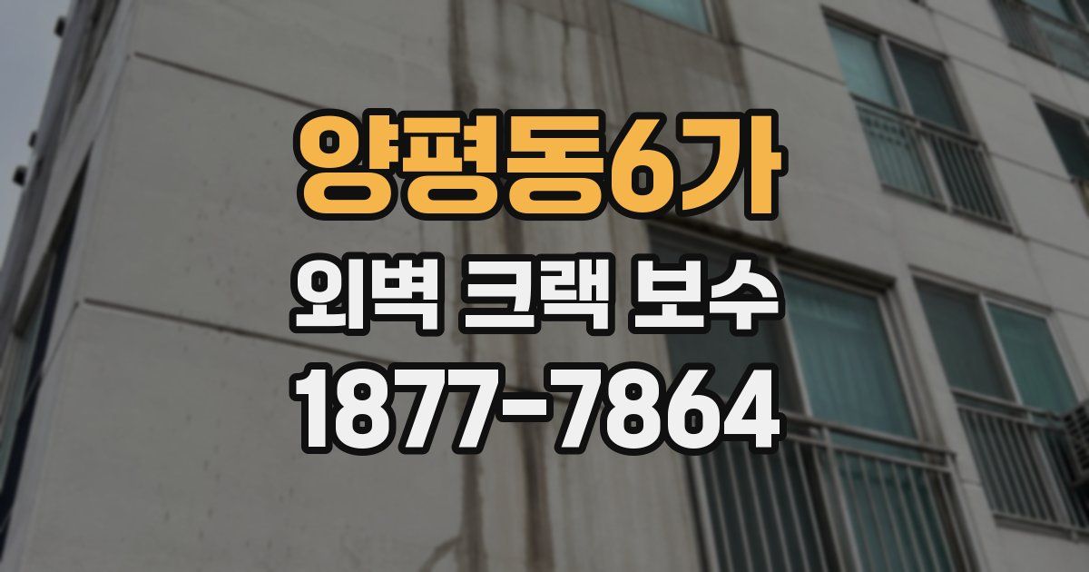 양평동6가 외벽 크랙 보수